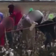 Illustration for article titled South Carolina School Celebrates Black History Month By Having 5th Graders Pick Cotton to Slavery Songs... No, Really.